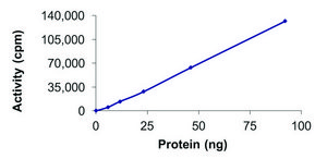 BTK (C481S), Active PRECISIO® Kinase, recombinant