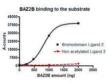 BAZ2B (2054-2168) human recombinant, expressed in E. coli, ≥84% (SDS-PAGE)