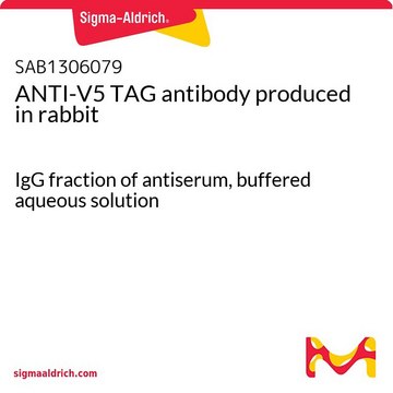 ANTI-V5 TAG antibody produced in rabbit IgG fraction of antiserum, buffered aqueous solution