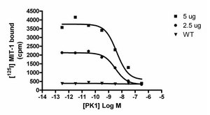 ChemiSCREEN Human PK1 Prokineticin Receptor Membrane Preparation Human PK1 / PKR1 GPCR membrane preparation for Radioligand binding Assays &amp; GTPγS binding.