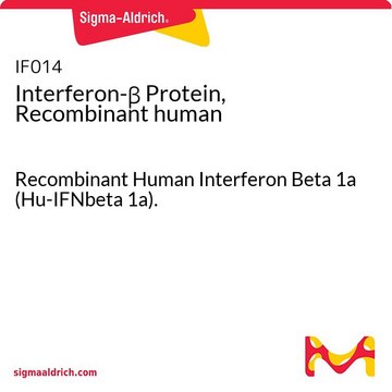 Interferon-&#946; Protein, Recombinant human Recombinant Human Interferon Beta 1a (Hu-IFNbeta 1a).