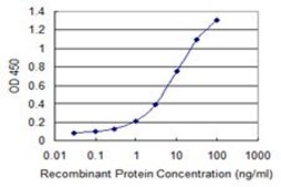 Monoclonal Anti-PLA2G16 antibody produced in mouse clone 4C4-2A11, purified immunoglobulin, buffered aqueous solution