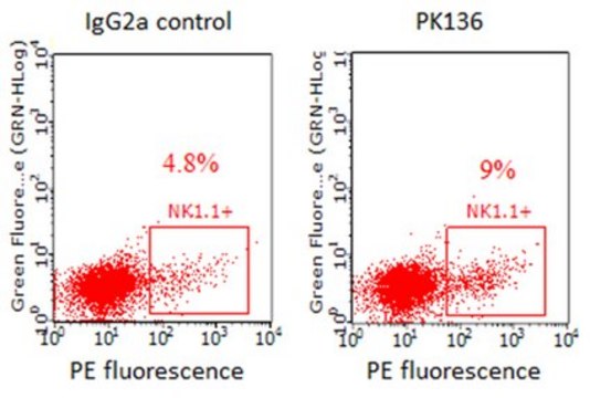 Anti-NK1.1 (mouse) Antibody, clone PK136, Azide Free clone PK136, from mouse