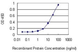 Monoclonal Anti-CHODL antibody produced in mouse clone 1A5, purified immunoglobulin, buffered aqueous solution