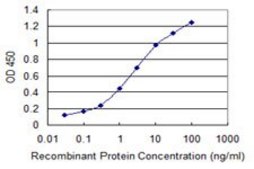 Monoclonal Anti-CENPH antibody produced in mouse clone 1F7, purified immunoglobulin, buffered aqueous solution