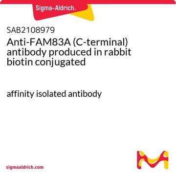 Anti-FAM83A (C-terminal) antibody produced in rabbit biotin conjugated affinity isolated antibody