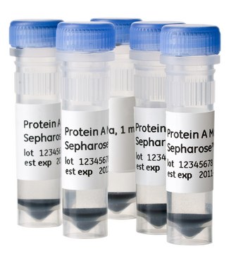 Protein A Mag Sepharose&#8482; Xtra Cytiva 28-9670-62, pack of 5 × 1&#160;mL