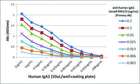Anti-Human IgA2 antibody, Rabbit monoclonal recombinant, expressed in HEK 293 cells, clone RM125, purified immunoglobulin