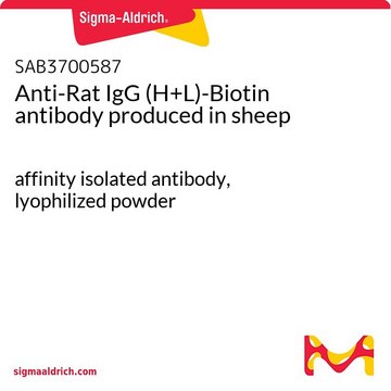 Anti-Rat IgG (H+L)-Biotin antibody produced in sheep affinity isolated antibody, lyophilized powder