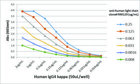 Anti-Human Ig Light Chain antibody, Rabbit monoclonal recombinant, expressed in HEK 293 cells, clone RM129, purified immunoglobulin