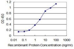 Monoclonal Anti-SNAPC4 antibody produced in mouse clone 3E7, purified immunoglobulin, buffered aqueous solution