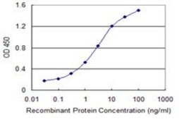 Monoclonal Anti-OSTF1 antibody produced in mouse clone 2E6, purified immunoglobulin, buffered aqueous solution