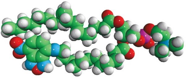 18:1-12:0 NBD PC Avanti Polar Lipids 810133P, powder