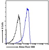 Anti-Neuroserpin antibody produced in goat affinity isolated antibody, buffered aqueous solution