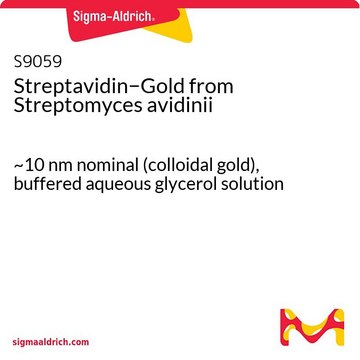 Streptavidin&#8722;Gold from Streptomyces avidinii ~10&#160;nm nominal (colloidal gold), buffered aqueous glycerol solution