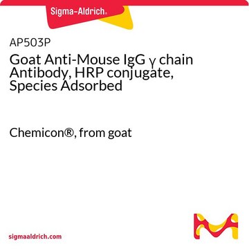 Goat Anti-Mouse IgG &#947; chain Antibody, HRP conjugate, Species Adsorbed Chemicon&#174;, from goat