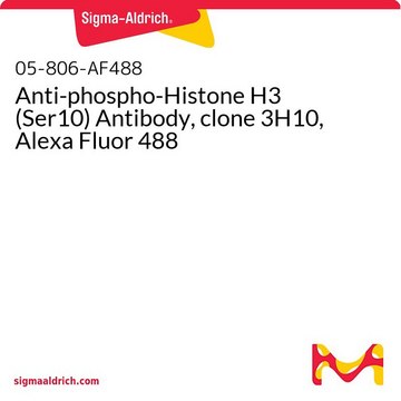 Anti-phospho-Histone H3 (Ser10) Antibody, clone 3H10, Alexa Fluor 488