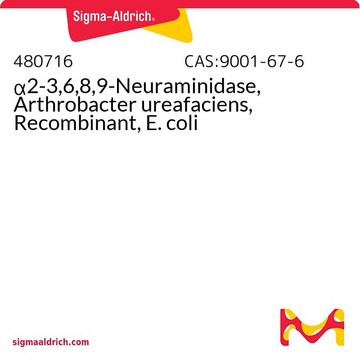 &#945;2-3,6,8,9-Neuraminidase, Arthrobacter ureafaciens, Recombinant, E. coli