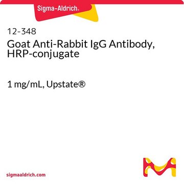 Goat Anti-Rabbit IgG Antibody, HRP-conjugate 1&#160;mg/mL, Upstate&#174;