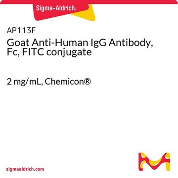 Goat Anti-Human IgG Antibody, Fc, FITC conjugate 2&#160;mg/mL, Chemicon&#174;