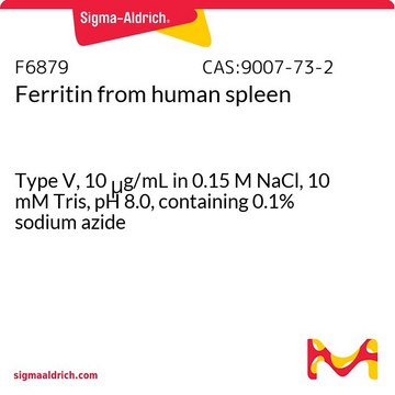 Ferritin from human spleen Type V, 10&#160;&#956;g/mL in 0.15 M NaCl, 10 mM Tris, pH 8.0, containing 0.1% sodium azide