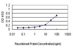 Monoclonal Anti-IL13RA1 antibody produced in mouse clone 1F5, purified immunoglobulin, buffered aqueous solution