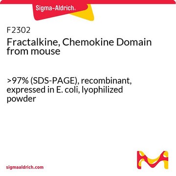 Fractalkine, Chemokine Domain from mouse &gt;97% (SDS-PAGE), recombinant, expressed in E. coli, lyophilized powder