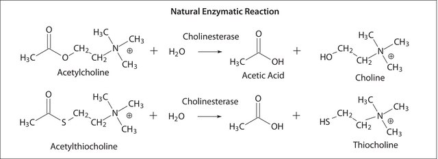 Butyrylcholinesterase human vial of &#8805;4&#160;units