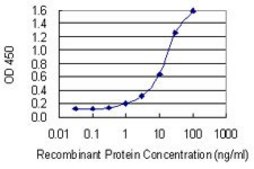 Monoclonal Anti-SPATA4 antibody produced in mouse clone 4A2, purified immunoglobulin, buffered aqueous solution