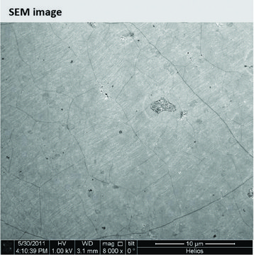 Monolayer graphene film 1 in x 1 in on copper foil, with PMMA coating, avg. no. of layers, 1