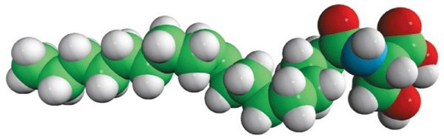 N-18:1 L-Serine N-oleoyl L-serine, powder