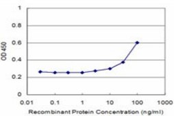 Monoclonal Anti-HIST2H2BE, (C-terminal) antibody produced in mouse clone 4G6, purified immunoglobulin, buffered aqueous solution