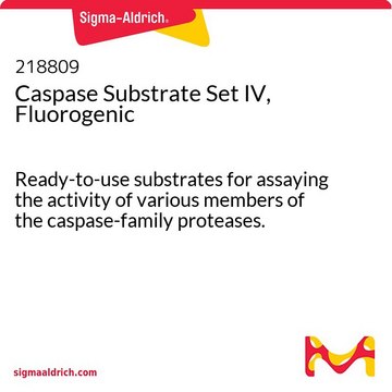 Caspase Substrate Set IV, Fluorogenic Ready-to-use substrates for assaying the activity of various members of the caspase-family proteases.