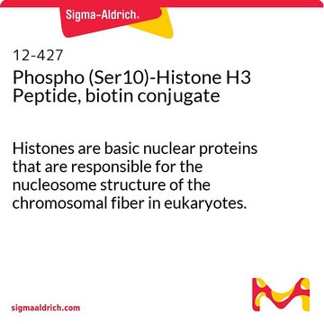 Phospho (Ser10)-Histone H3 Peptide, biotin conjugate Histones are basic nuclear proteins that are responsible for the nucleosome structure of the chromosomal fiber in eukaryotes.