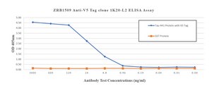 Anti-V5 Tag Antibody, clone 1K20-L2 ZooMAb® Rabbit Monoclonal recombinant, expressed in HEK 293 cells