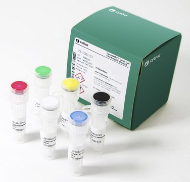 illustra&#8482; Single Cell GenomiPhi&#8482; DNA Amplification Kit Cytiva 29-1080-39, sufficient for 100&#160;reactions sufficient, storage temp.:-70°C