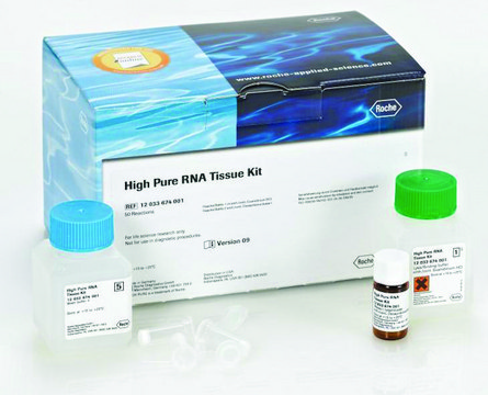 High Pure RNA Tissue Kit sufficient for 50&#160;isolation(s), suitable for RT-PCR, suitable for Northern blotting