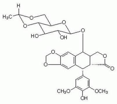 依托泊苷 A cell-permeable derivative of podophyllotoxin that acts as a topoisomerase II inhibitor (IC&#8325;&#8320; = 59.2 &#181;M) has major activity against a number of tumors, including germ cell neoplasms, small cell lung cancer, and malignant lymphoma.