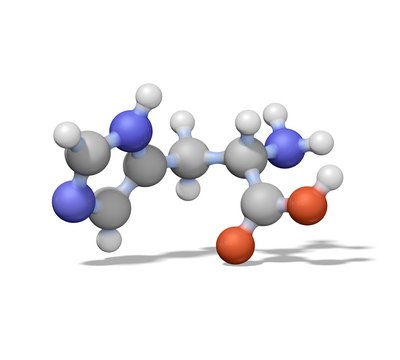 牛 DNP-白蛋白偶联物 DNP-Albumin Conjugate, Bovine, is useful for production of antibodies specific for DNP and albumin. Contains >30 DNP-groups per molecule protein.