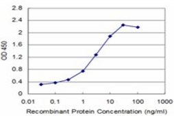 Monoclonal Anti-SMARCA2 antibody produced in mouse clone 2D12, purified immunoglobulin, buffered aqueous solution