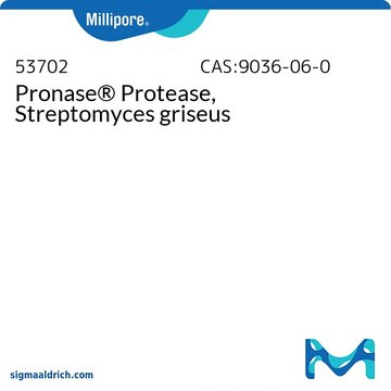 Pronase&#174; Protease, Streptomyces griseus