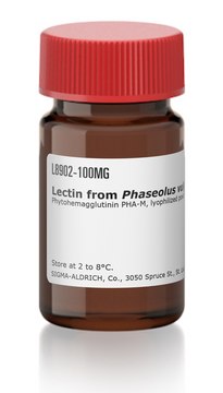 Lectin from Phaseolus vulgaris (red kidney bean) Phytohemagglutinin PHA-M, lyophilized powder, BioReagent, suitable for cell culture