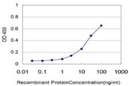 ANTI-ZIC1 antibody produced in mouse clone 4D11, purified immunoglobulin, buffered aqueous solution