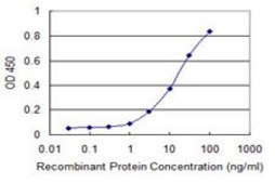 Monoclonal Anti-CRTC2 antibody produced in mouse clone 1E6, purified immunoglobulin, buffered aqueous solution