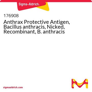 Anthrax Protective Antigen, Bacillus anthracis, Nicked, Recombinant, B. anthracis