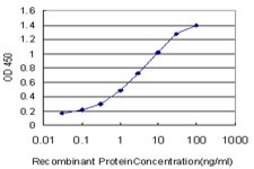 Monoclonal Anti-KLF9 antibody produced in mouse clone 1H5, purified immunoglobulin, buffered aqueous solution