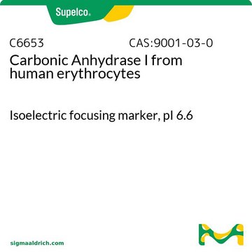 碳酸酐酶I 来源于人类红细胞 Isoelectric focusing marker, pI&#160;6.6