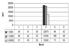 Anti-phospho-Histone H3 (Thr11) Antibody, clone MC83, rabbit monoclonal culture supernatant, clone MC83, Upstate®
