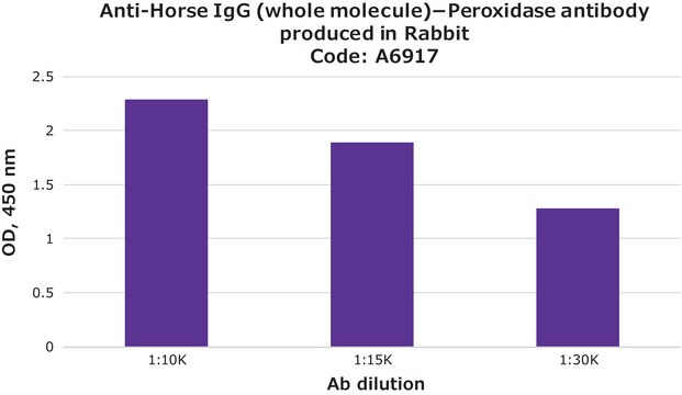 兔抗马 IgG（全分子）抗体，偶联过氧物酶 兔抗 affinity isolated antibody, buffered aqueous solution