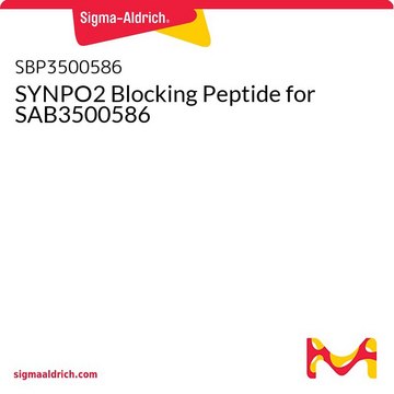 SYNPO2 Blocking Peptide for SAB3500586